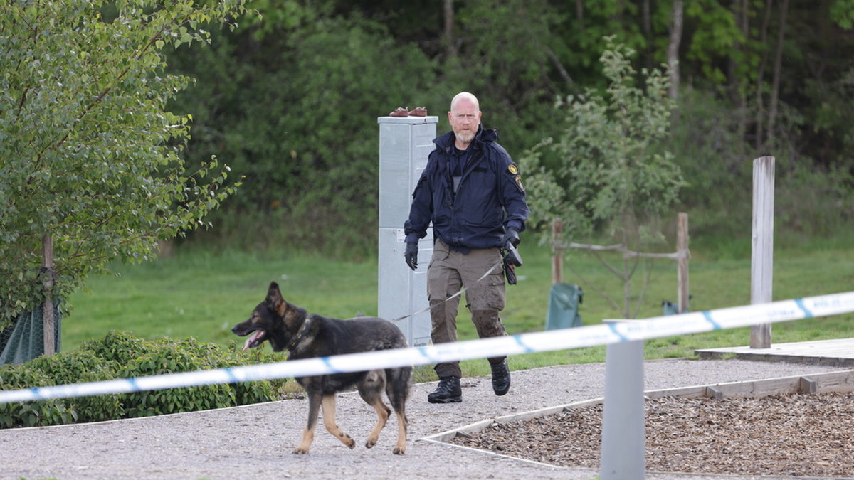 Polis och nationella bombskyddet tog hand om det misstänkta föremålet på en lekplats i Norrköping.