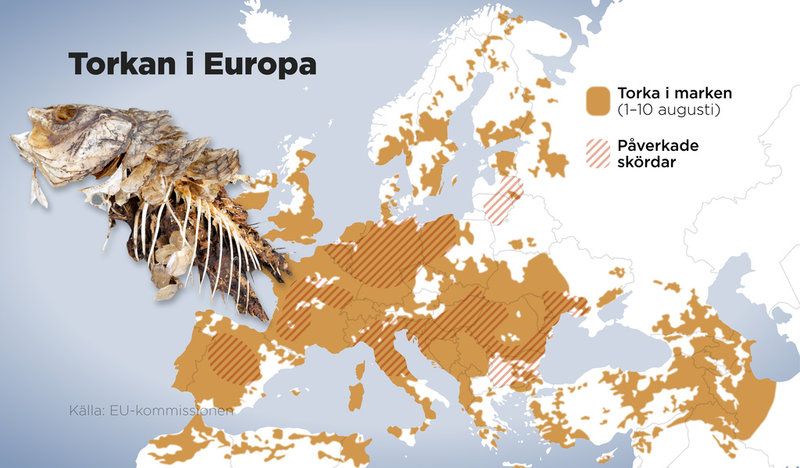 Torka i marken (1–10 augusti) samt områden med påverkade skördar.