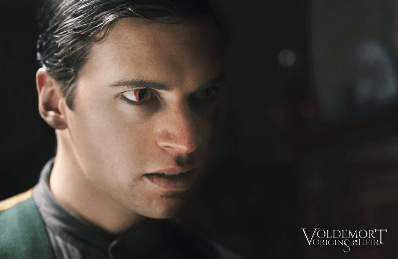 Voldemort Origins of the heir Voldemort Origins of the heir