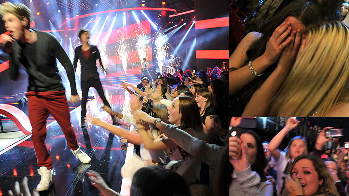 När One Direction uppträdde i X Factor på fredagen blev fansen helt galna.