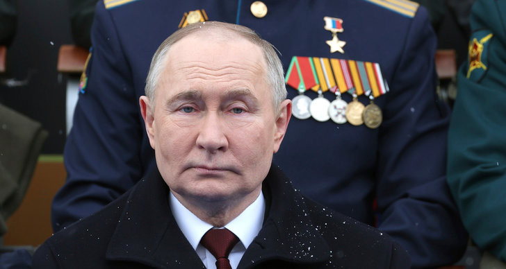 Kriget i Ukraina, Vladimir Putin, TT