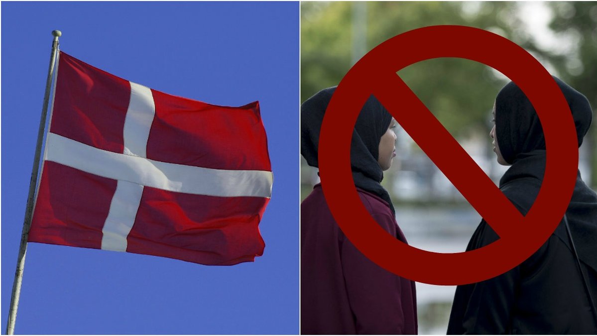 Dansk Folkeparti vill förbjuda alla typer av slöjor.