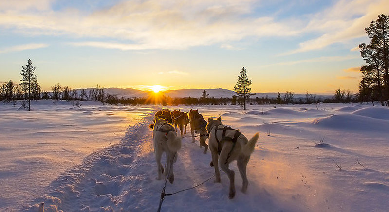 Hundspannstur