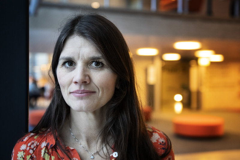 Statsvetaren Jenny Madestam känner igen Birgitte Nyborgs ensamhet från svenska politikers verklighet. Arkivbild.