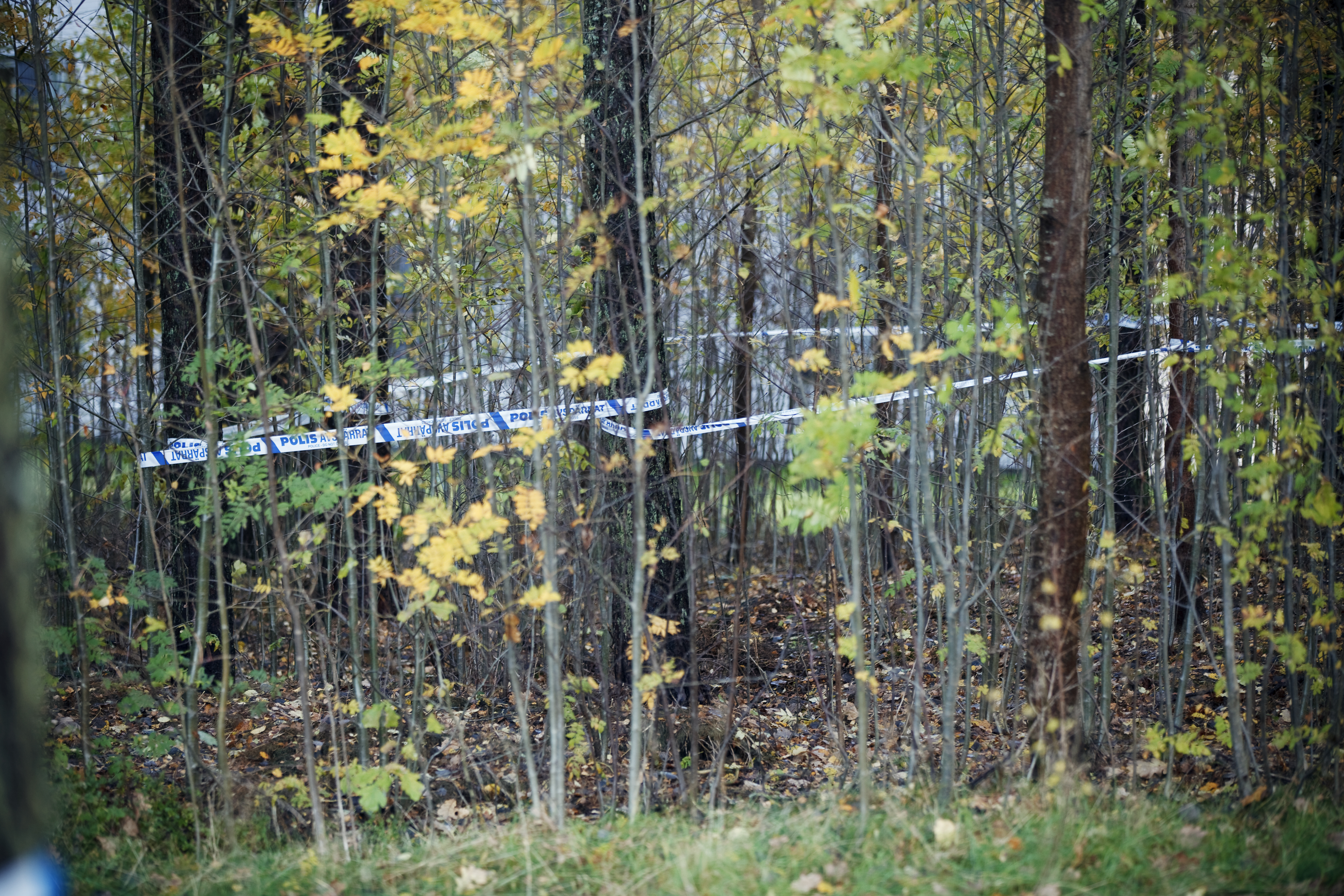Polisens avspärrningar av skogsområdet där fyraåringen hittades död på söndagskvällen.