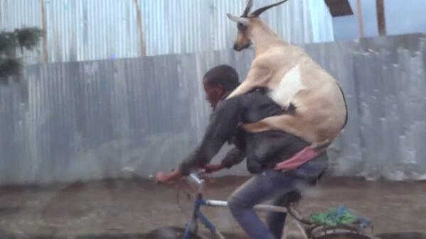 Lift, Cyklist, Etiopien, Get