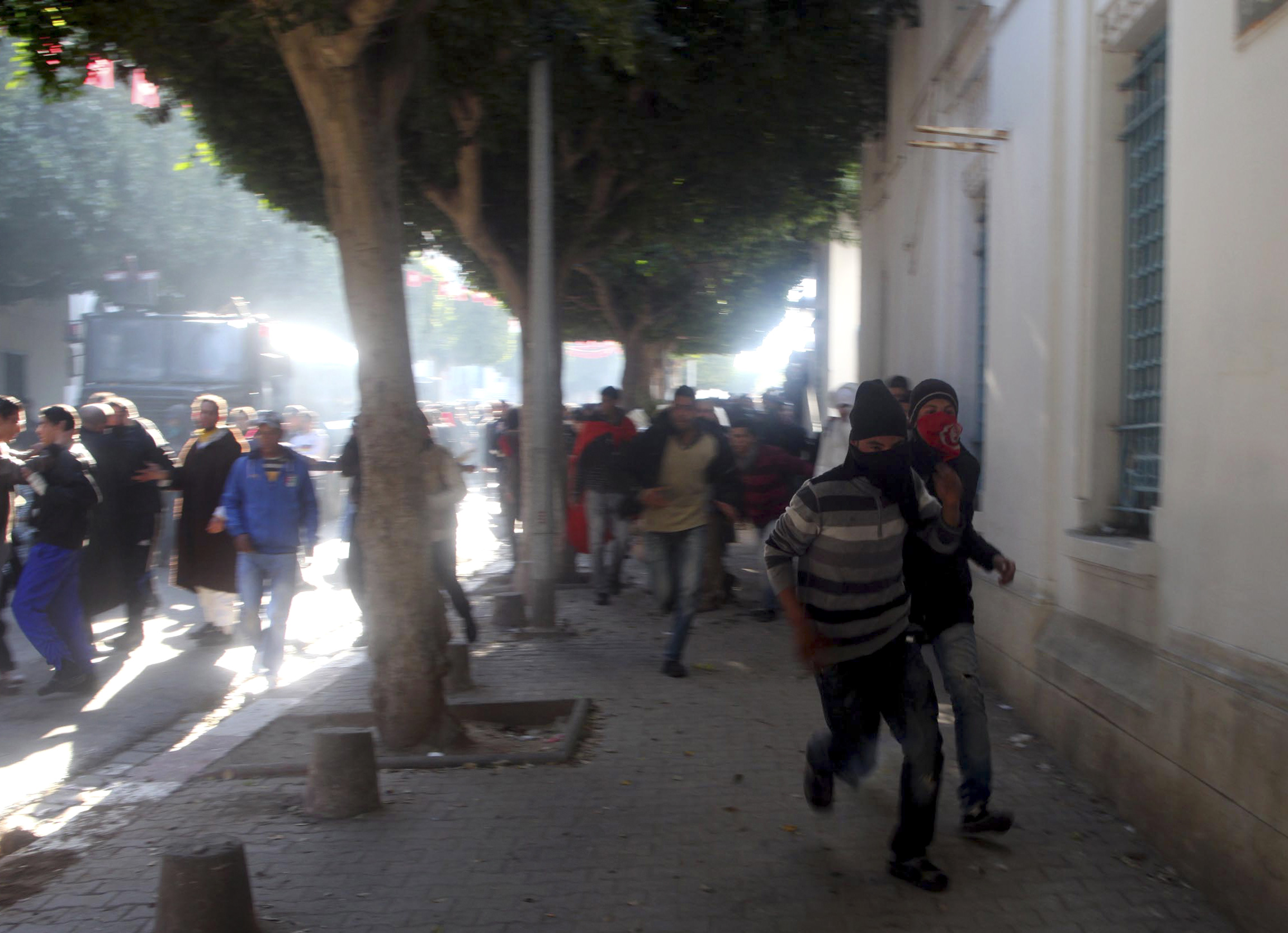 Demonstration, Jasminrevolutionen, Tunisien, Zine El Abidine Ben Ali, Upplopp, Kravaller, Uppror