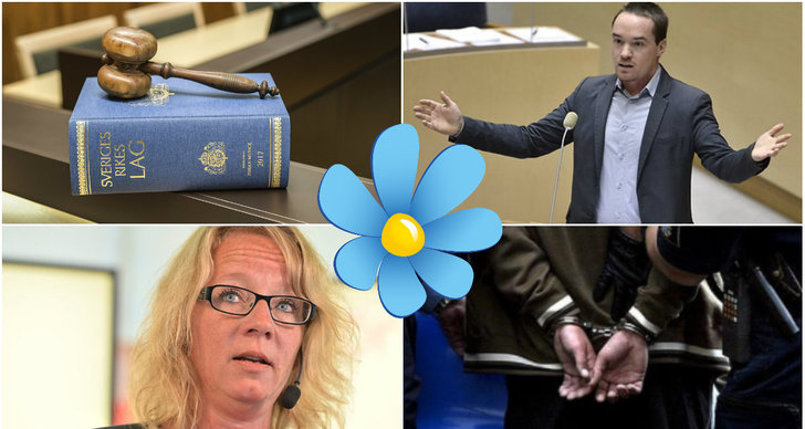 Sverigedemokraterna, Kriminella, Brott och straff