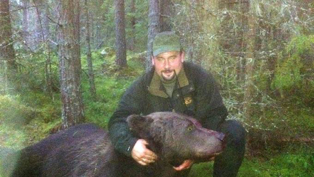 Bosse Finnström med 262 kilos björnen Tarvas. 