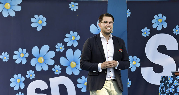 Sverigedemokraterna, Största parti