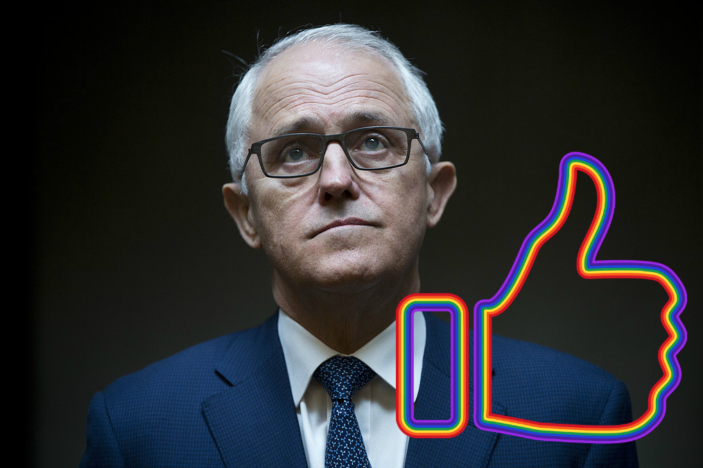 En majoritet röstade ja för samkönade äktenskap i Australien, men ännu är det inte klart då ledamöterna måste rösta ja också. En majoritet röstade ja för samkönade äktenskap i Australien, men ännu är det inte klart då ledamöterna måste rösta ja också.
