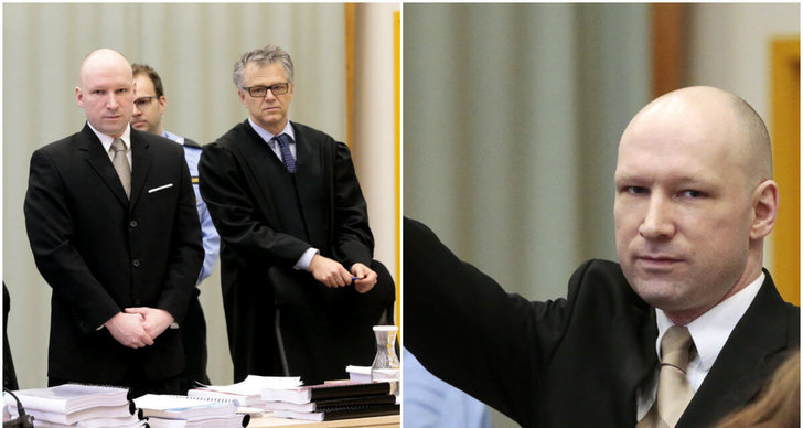 Rättegång, Anders Behring Breivik, Norska staten, Staten, Norge, Fängelse