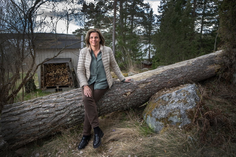 Isabella Lövin saknar inte politiken utan ägnar sig nu åt skrivande och rollen som styrelseordförande för Stockholm Environment Institute.
