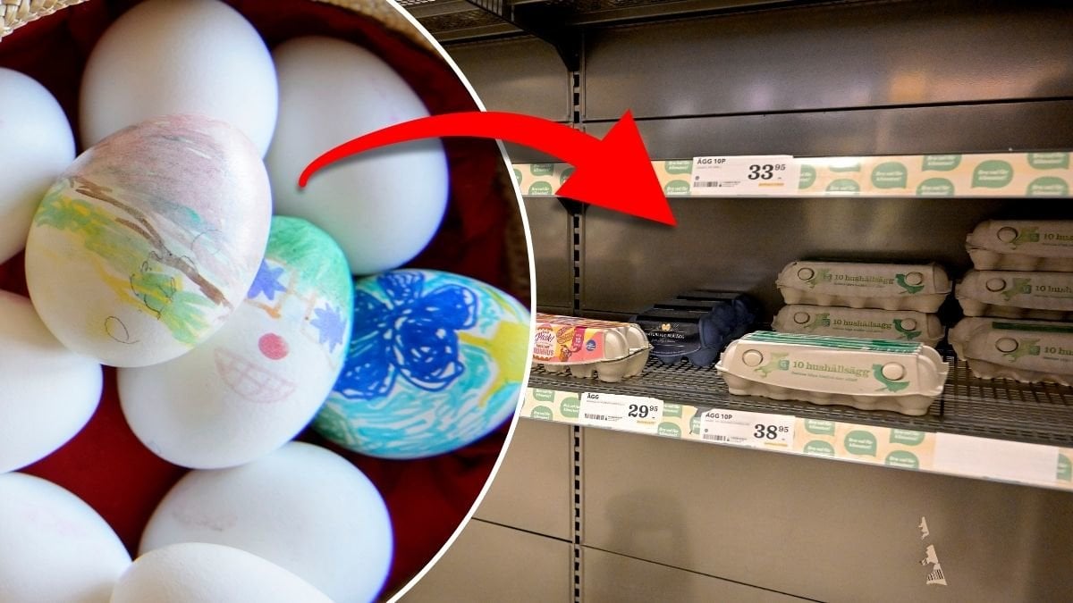 Risk för äggbrist i påsk efter branden i Mönsterås