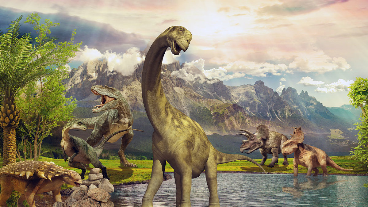 En helt ny dinosaurie har hittats.