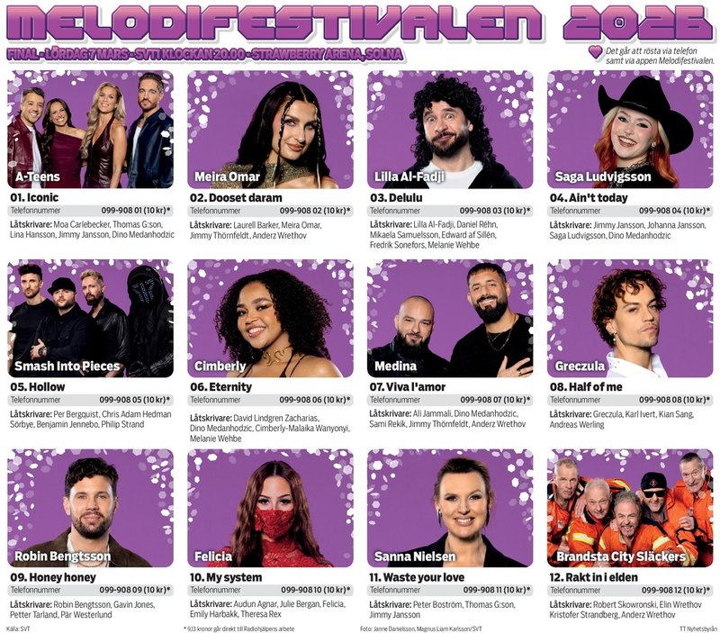 Presentation av artisterna som deltar i den Melodifestivalens final.