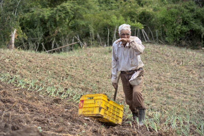 En arbetare som ingår i den venezuelanska organisationen Cecosesola, som består av ett nätverk av kooperativ.