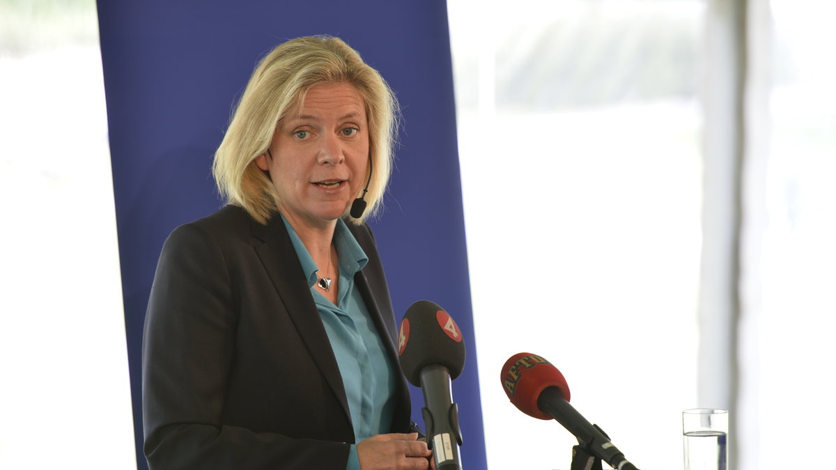 Sverigedemokraterna ska lämna in en misstroendeförklaring mot finansminister Magdalena Andersson.
