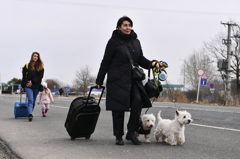 Ukrainska flyktingar tvingas lämna sina djur vid gränserna Ukrainska flyktingar tvingas lämna sina djur vid gränserna