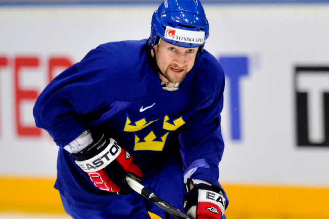Michael Nylander, Förlamning, ishockey