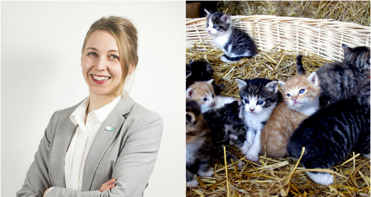Camilla Björkbom, Debatt, Djurens rätt, Katt