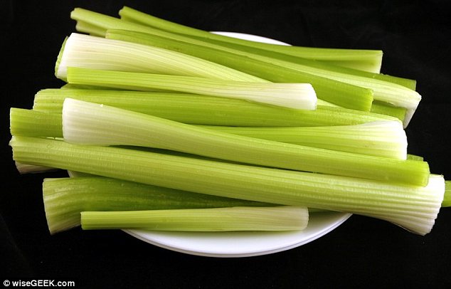 Knaprar du selleri så kan du nästan äta 1,5 kilogram. Knaprar du selleri så kan du nästan äta 1,5 kilogram.