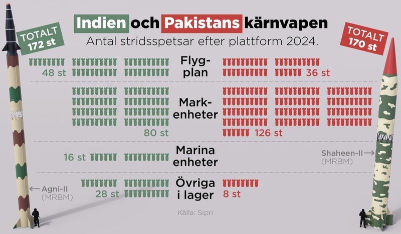 Antal stridspetsar efter plattform 2024.