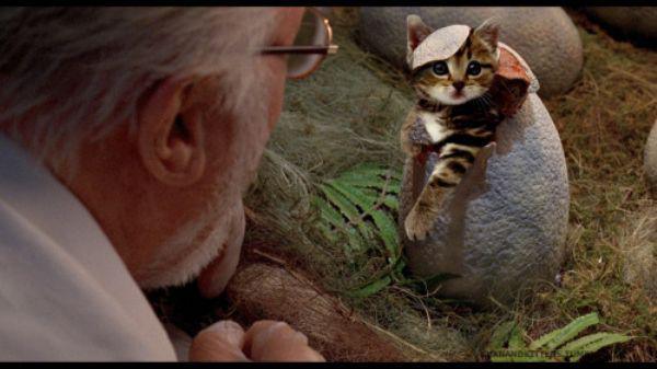 Richard Attenborough och en nykläckt misse. Richard Attenborough och en nykläckt misse.