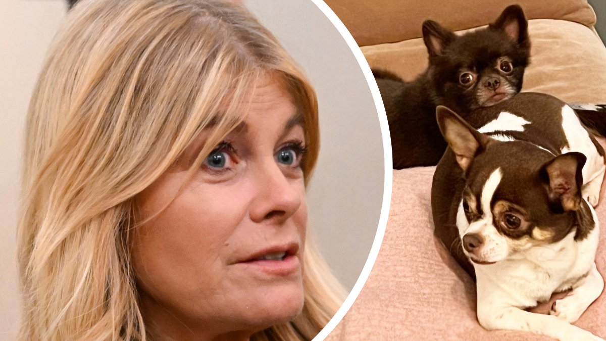 Kritik mot Wahlgren: Hundägande ifrågasätts efter uttalande