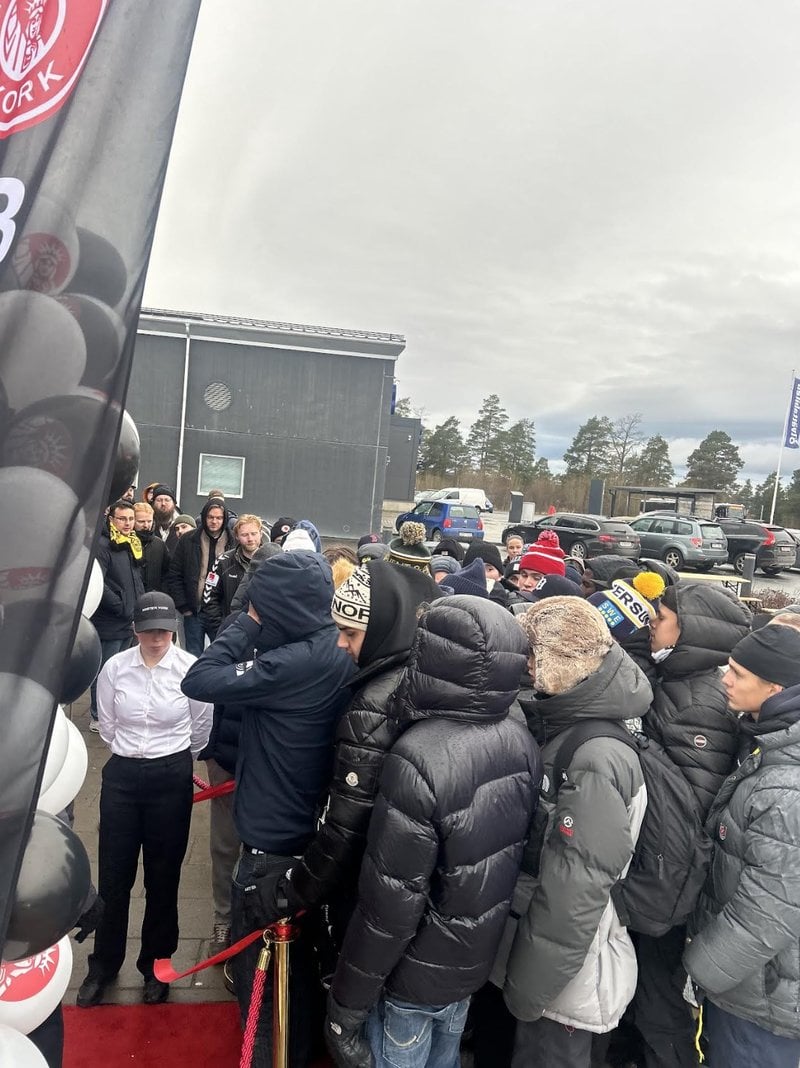 Köerna ringlade långa. Foto: Privat Köerna ringlade långa. Foto: Privat