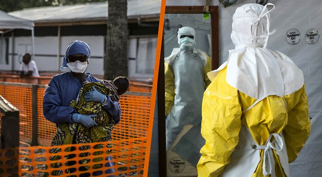 Ebola, Ebolafall, WHO, Smittad, Kongo, ebolasmittad