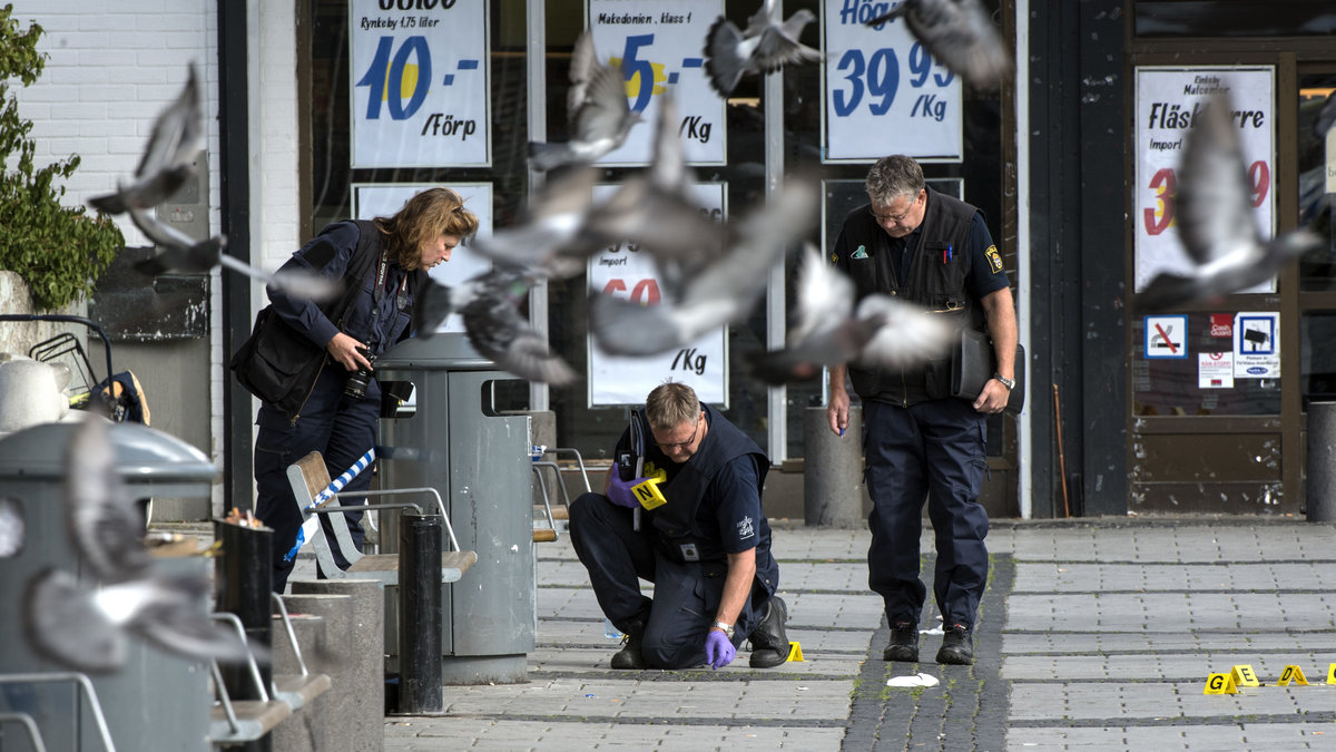 Bild från polisarbetet i Rinkeby i helgen. 