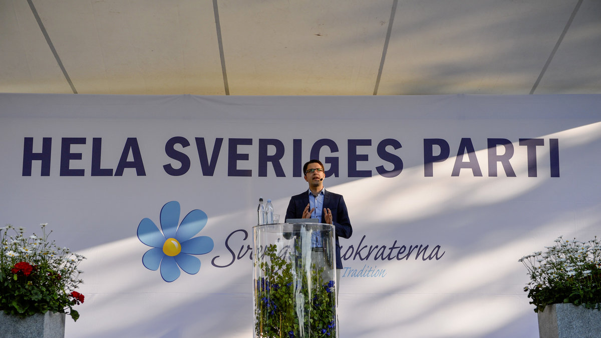 Det har även partiledaren för SD Jimmie Åkesson.