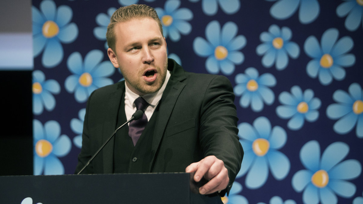 Sverigedemokraternas vikarierande partiledare Mattias Karlsson.