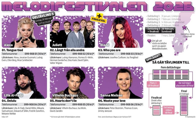 Presentation av artisterna som deltar i den femte deltävlingen i Sundsvall.