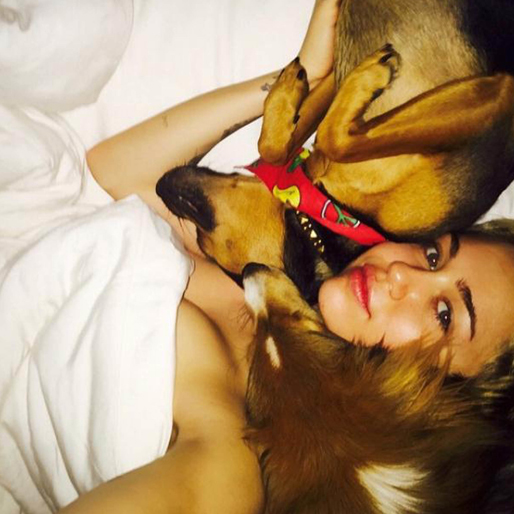 Miley gosar med sin hund. Miley gosar med sin hund.