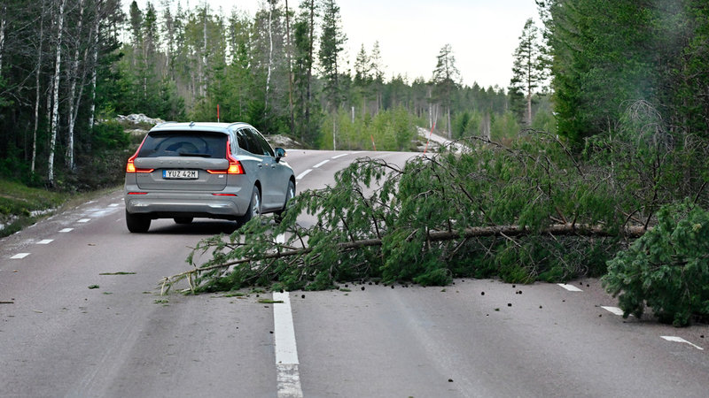 Nedfallna träd på riksväg 70 utanför Mora efter att stormen Johannes dragit in.
