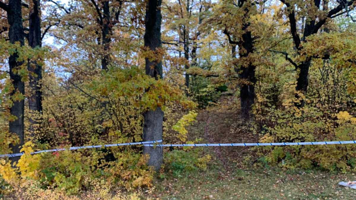 I närheten av den här skogsdungen greps 26-åringen och 16-åringen på morgonen den 30 oktober 2023. Längre in hittades en väska med ett vapen.