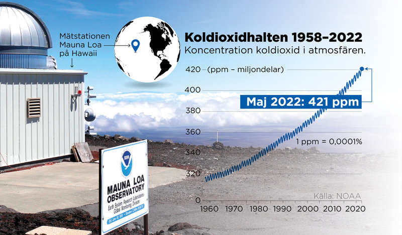 Koncentration koldioxid i atmosfären.