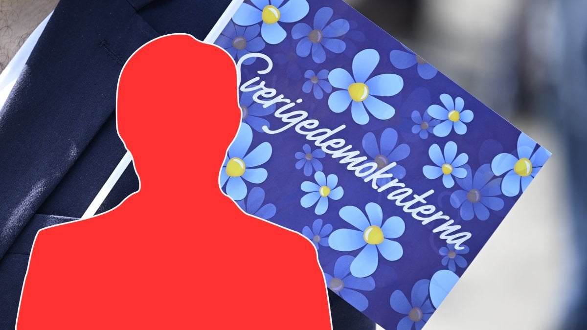 SD-politiker döms till fängelse i 3,5 år för våldtäkt