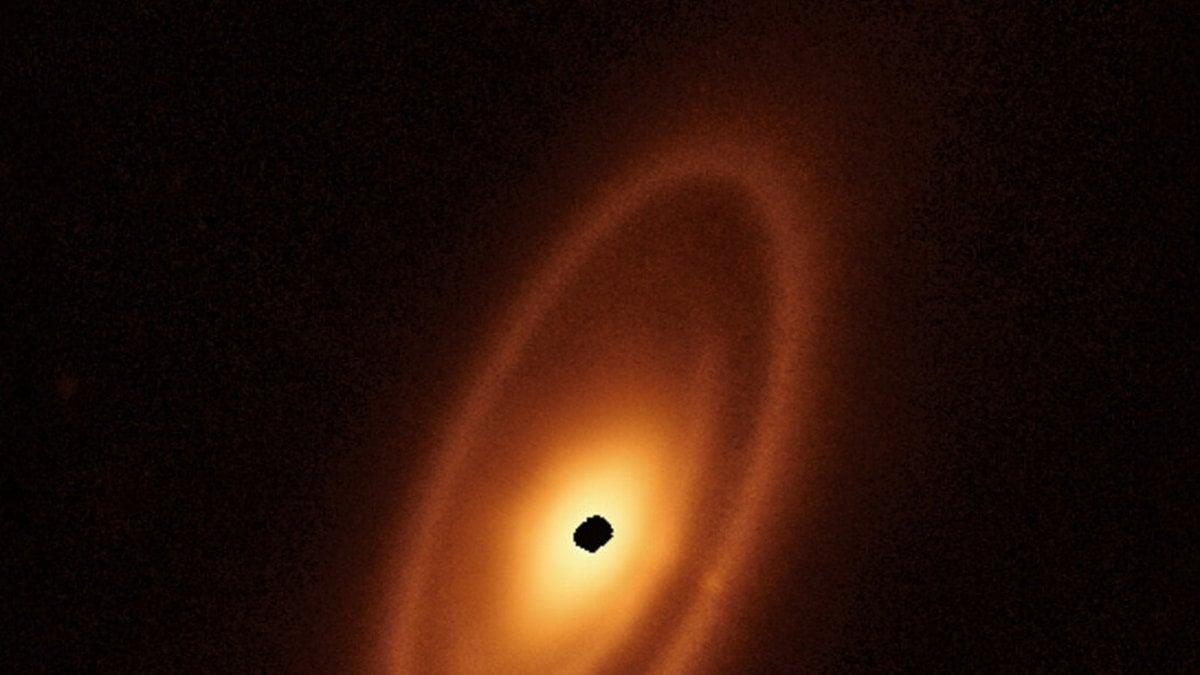 Skivan runt stjärnan Fomalhaut, cirka 25 ljusår från solen, består av tre asteroidringar med mellanrum som kan rymma planeter. Bilden är skapad med data från James Webb-teleskopet. Fläcken i mitten innebär avsaknad av data.