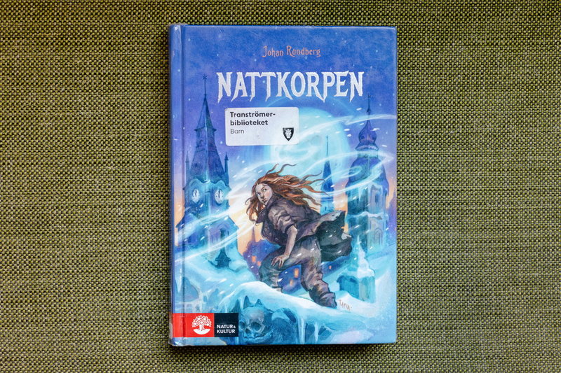 Rekommenderas också: Nattkorpen av Johan Rundberg.