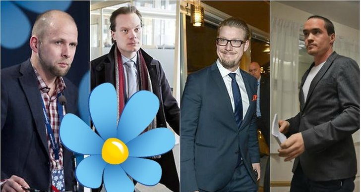 Straff, Dömd, Ledamot, åtalad, Kriminella, Sverigedemokraterna