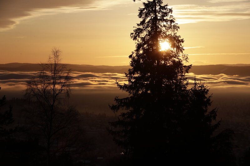 Vintersolstånd Vintersolstånd