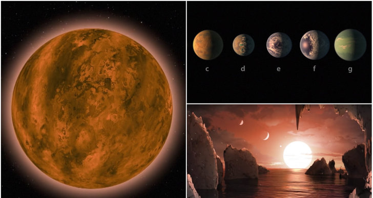 Liv, exoplanet, Nasa, Rymden, Jorden