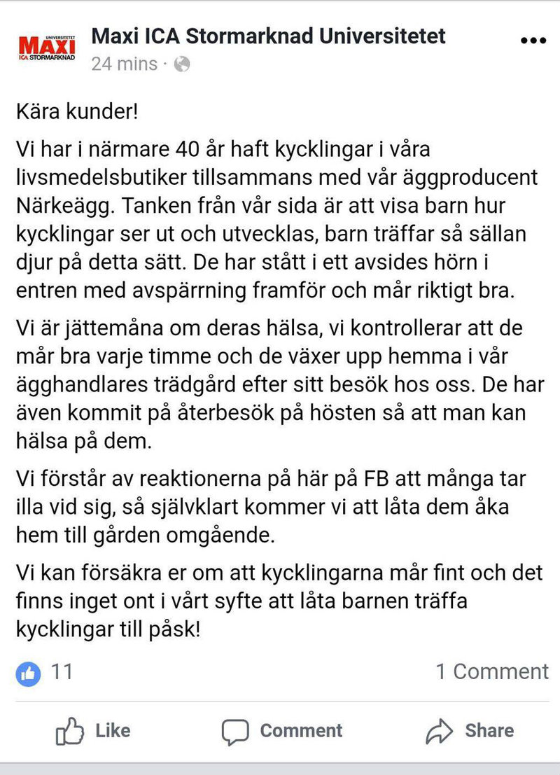 Kycklingar