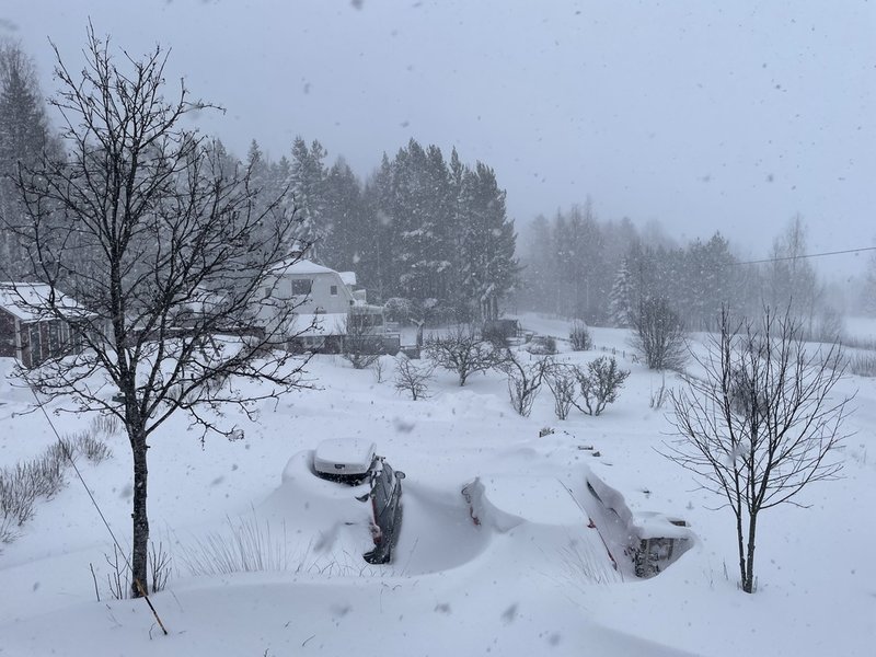 I södra Hälsingland snöade det som attan i början av januari, bild från Lingbo den 2 januari.