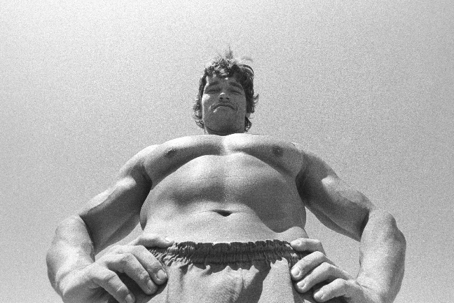 Född i Österrike inleddes bodybuildingkarriären först som 15-åring. Redan fyra år senare vann hann sin första titel - Junior Mr. Europe. Ett år senare stack han till USA och blev en i gänget på den berömda strandremsan i Santa Monica. – Vinsten gav mig mö Född i Österrike inleddes bodybuildingkarriären först som 15-åring. Redan fyra år senare vann hann sin första titel - Junior Mr. Europe. Ett år senare stack han till USA och blev en i gänget på den berömda strandremsan i Santa Monica. – Vinsten gav mig mö