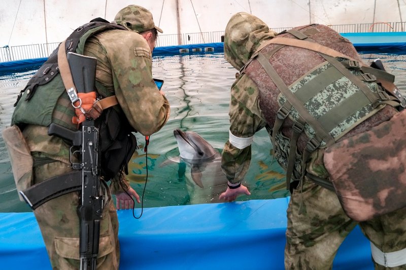 Den här bilden togs under en rundtur i ockuperade Cherson som Rysslands försvarsdepartement arrangerade för medier den 20 maj i år. Två ryska soldater klappar en delfin i orten Skadovsk.