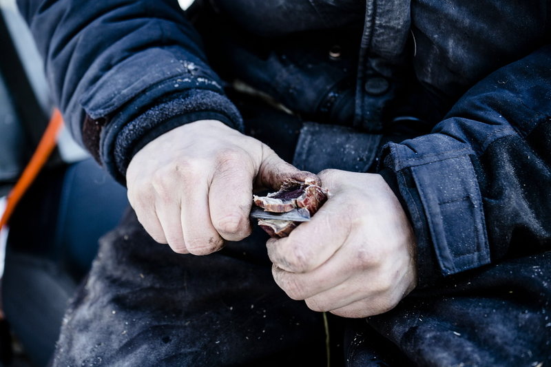 En renskötare karvar på en bit torkat renkött i närheten av Jokkmokk. Arkivbild.
